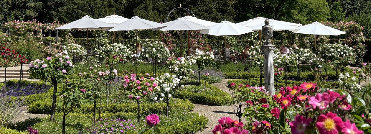Afternoon Tea i Rosenhaven