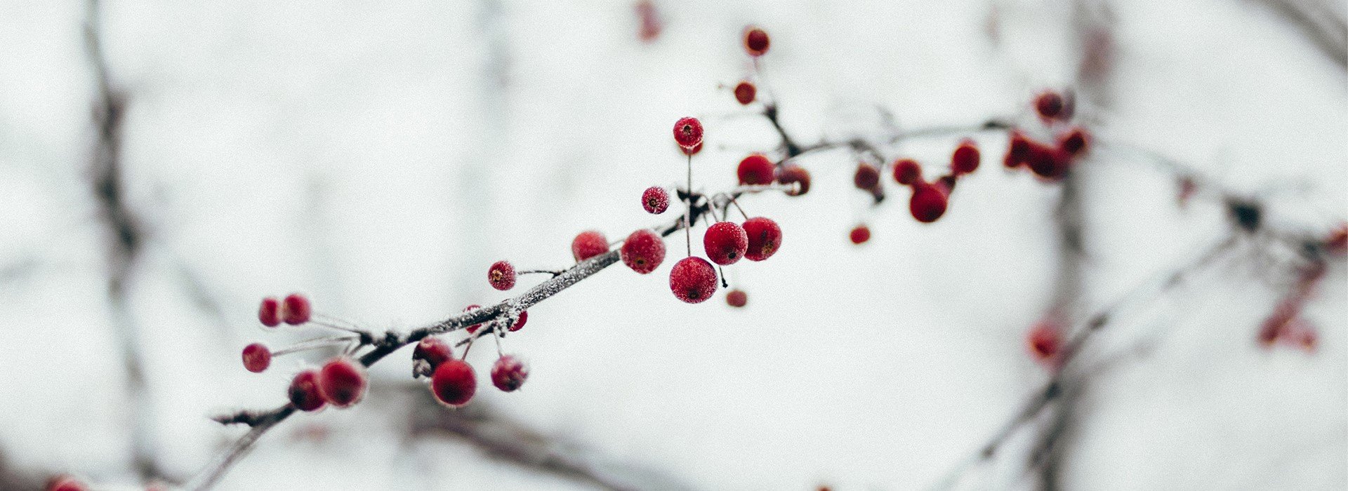 Eventyrlige fortællinger & Afternoon Tea