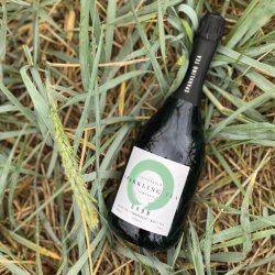 Sparkling Tea, Green