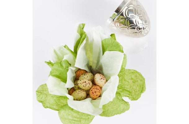 S�lv�g fra Summerbird, Classic