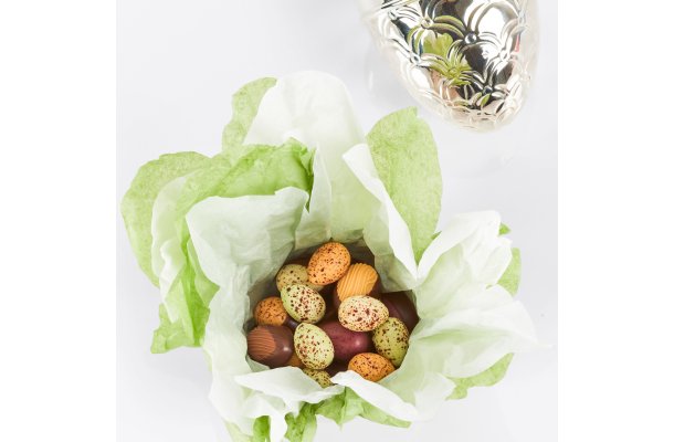 S�lv�g fra Summerbird, Grande