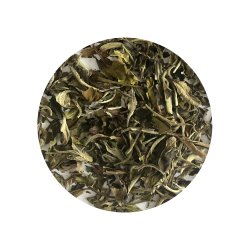 White Wings - kologisk