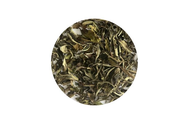 White Wings - kologisk