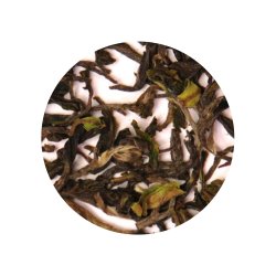 Darjeeling First Flush 2025, SNOWVIEW - kologisk